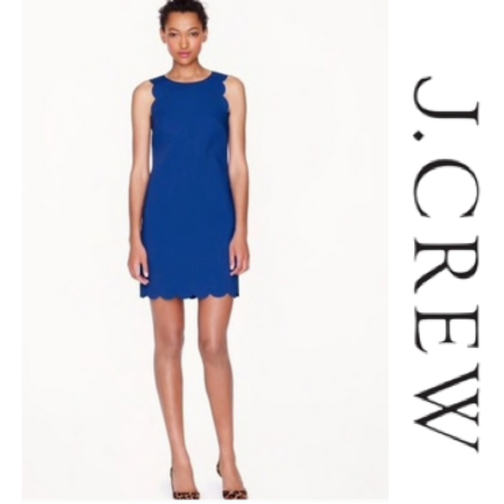 ✨HP✨J. Crew Scalloped Royal Blue Sheath Dress